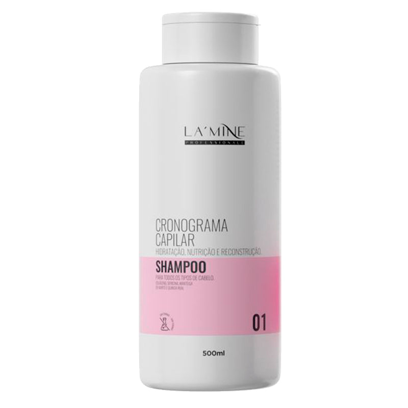 Kit Completo Cronograma Capilar Lamine 500ml